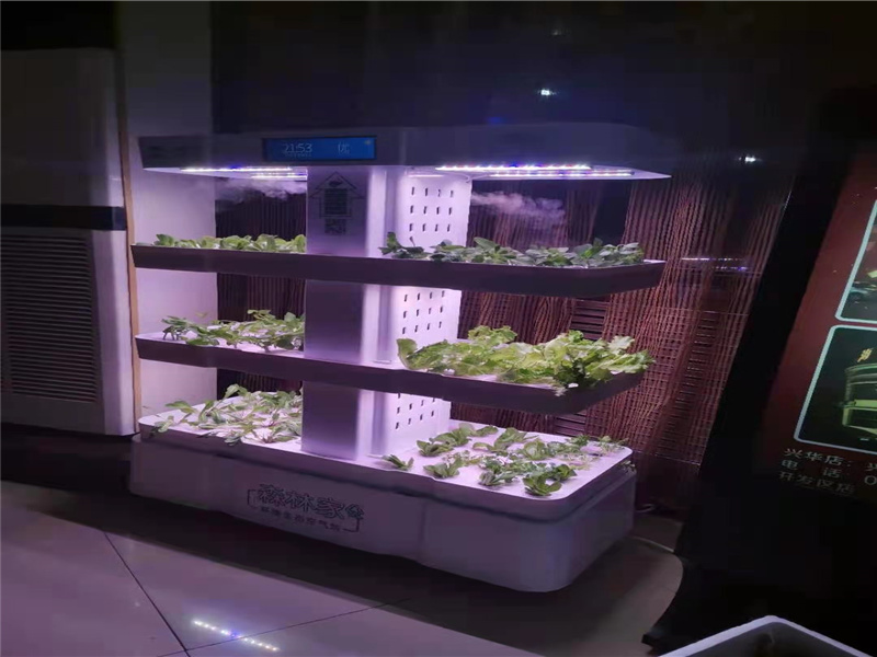 聊城代理展示