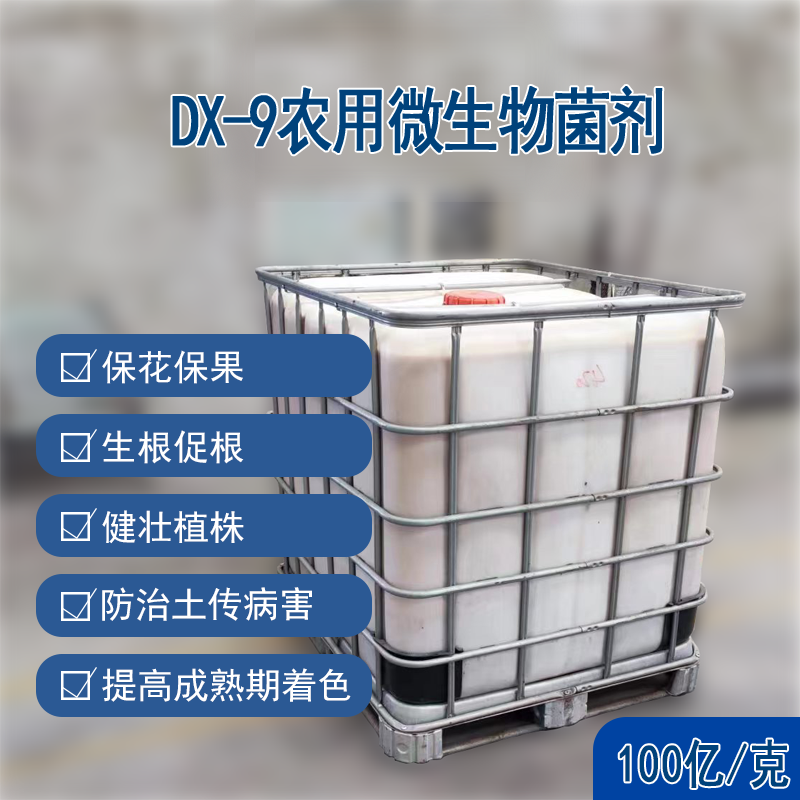DX-9微生物菌劑（100億/克）
