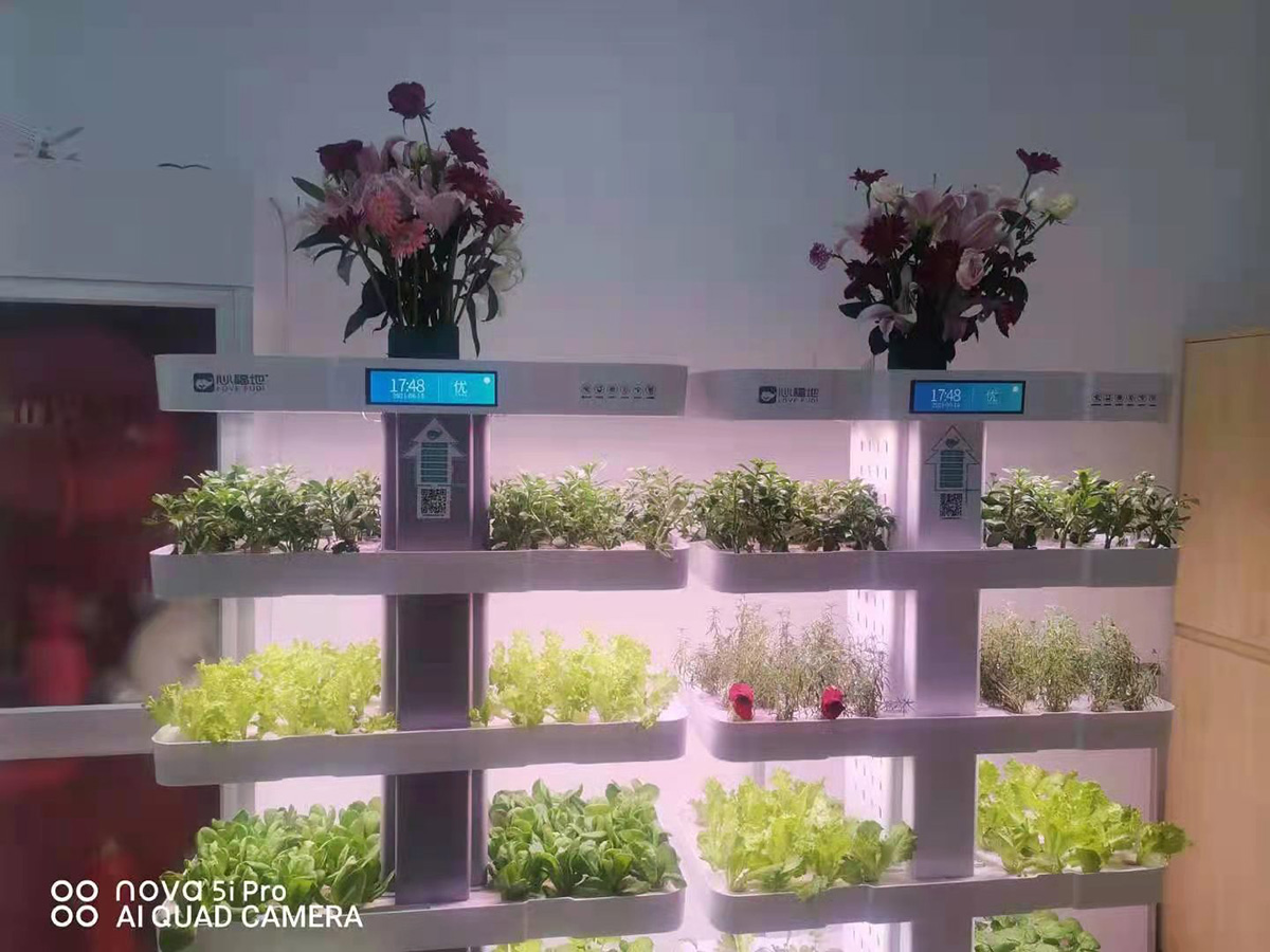 微信圖片_20210616080209.jpg