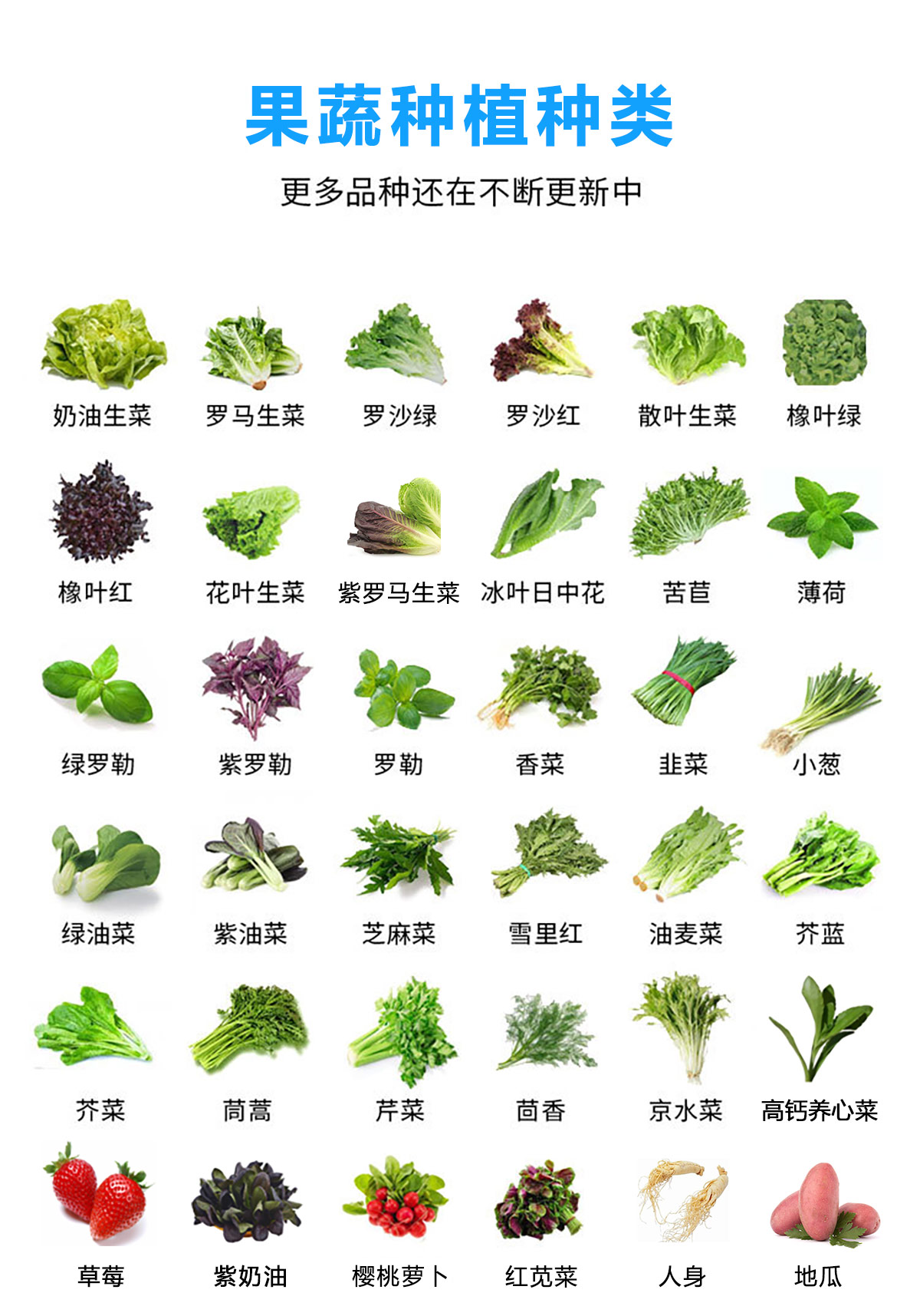 果蔬種植種類.jpg
