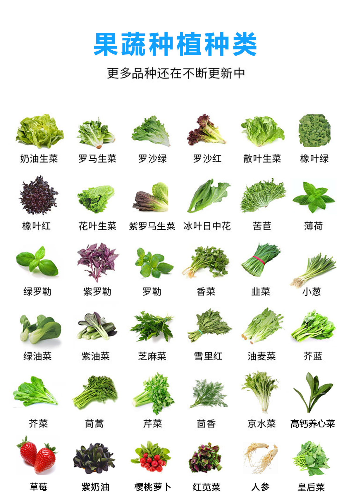 果蔬種植種類1.jpg