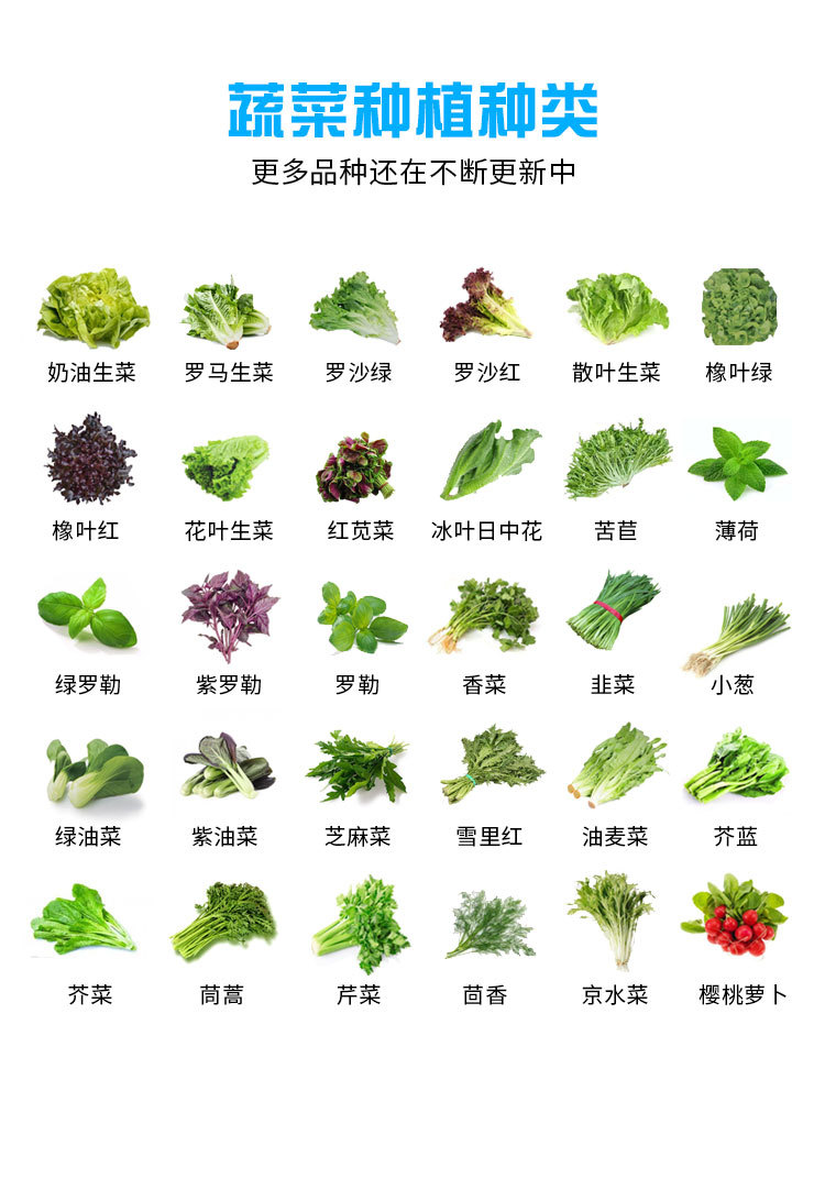 蔬菜種植種類.jpg