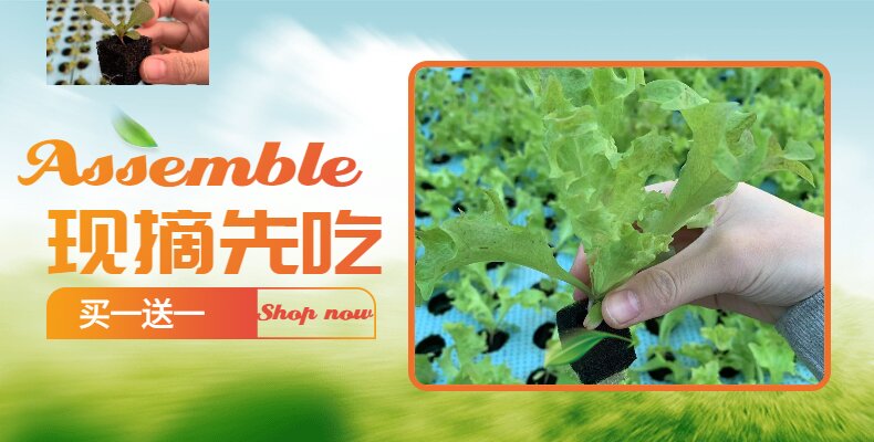 農村淘寶水果海報_proc.jpg