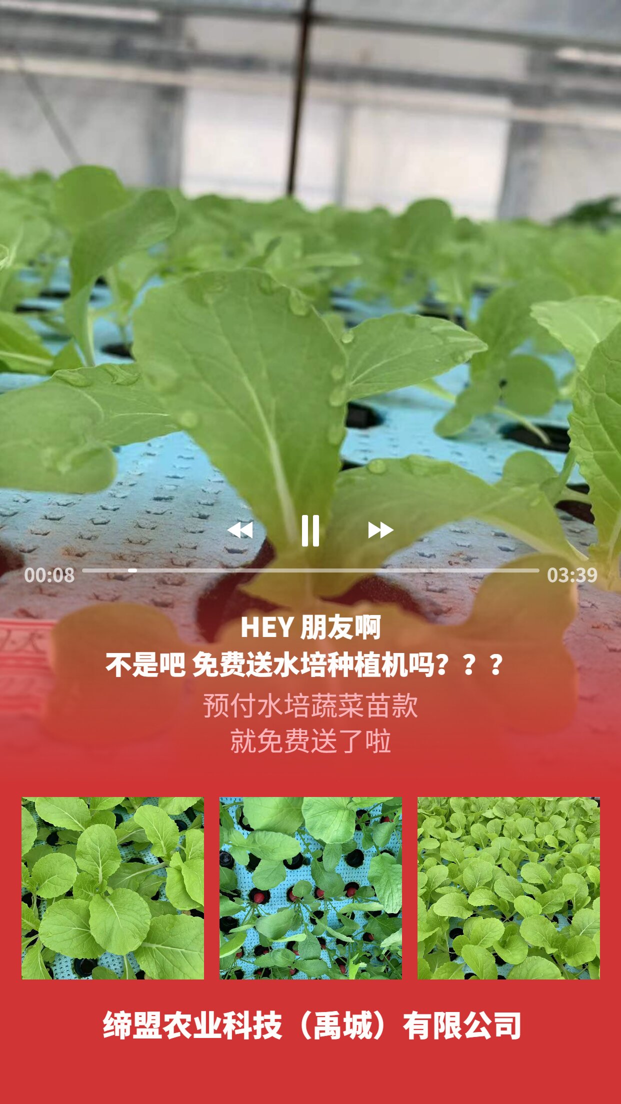 易烊千璽應(yīng)援宮格海報(bào)_proc.jpg