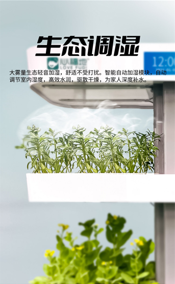 04.png
