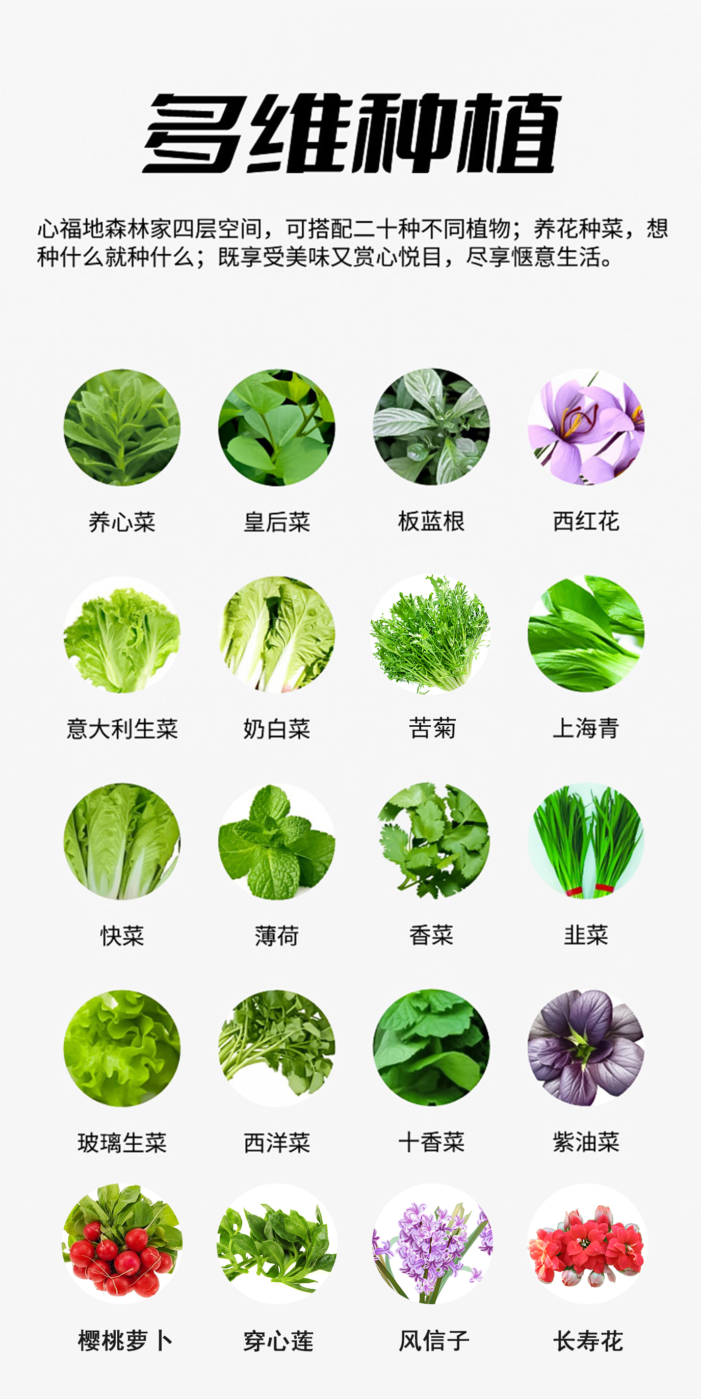 多維種植-修改使用.jpg