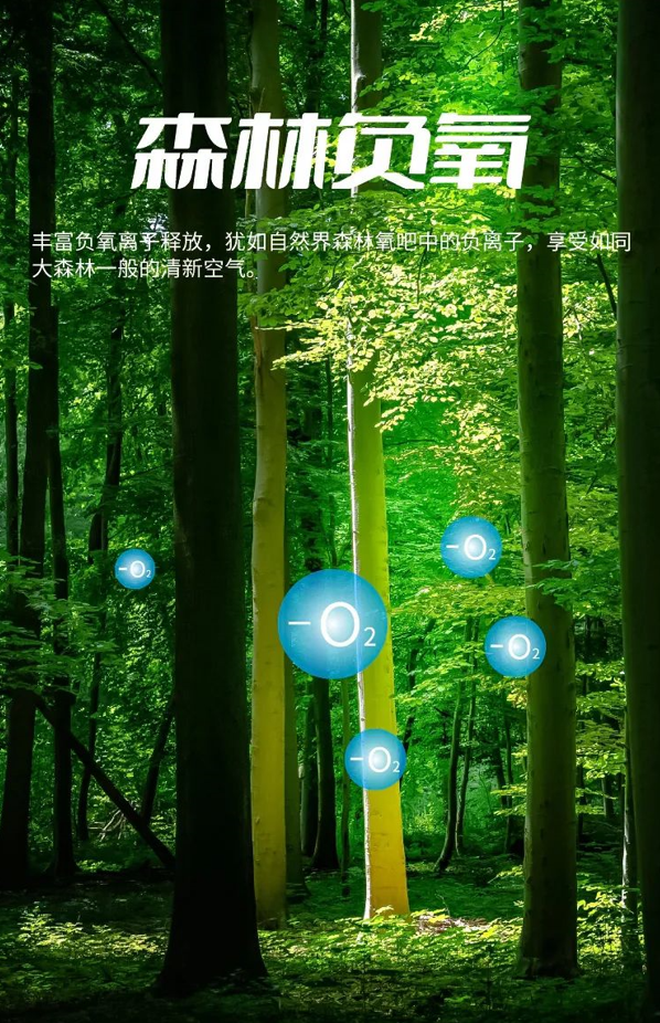 插圖03.png
