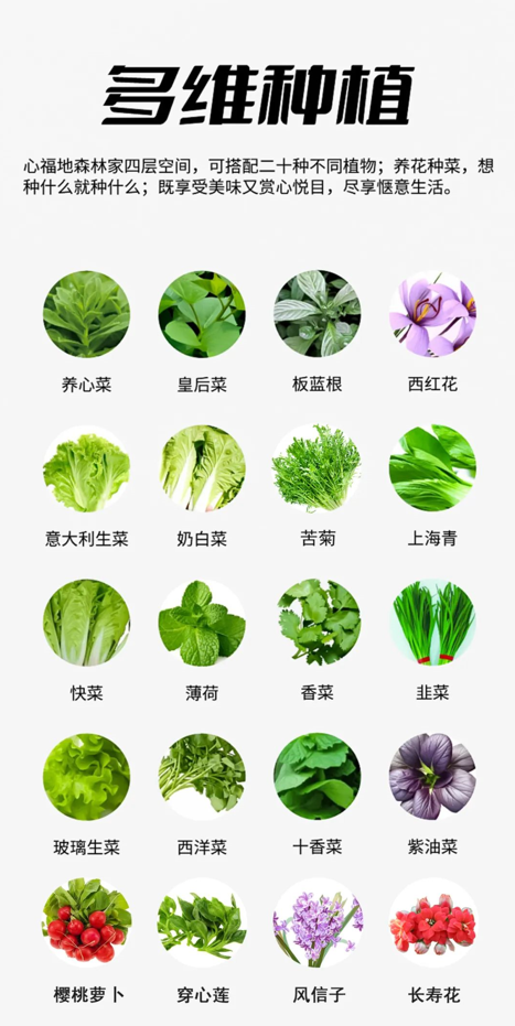 插圖05.png