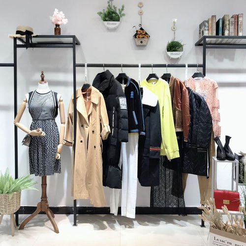 大碼女裝新時尚，批發商機盡顯優雅與舒適